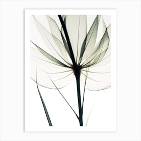 Lily Of The Valley Black And White Flower Silhouette Art Print