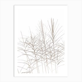 Beach Grass Texture I Art Print