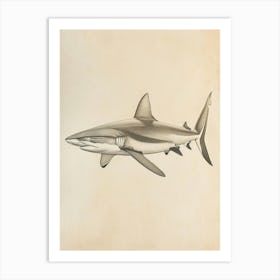 Blacktip Reef Shark  Vintage Illustration 5 Art Print