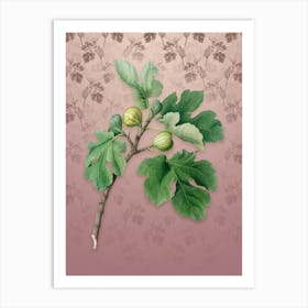 Vintage Fig Botanical on Dusty Pink Pattern Art Print