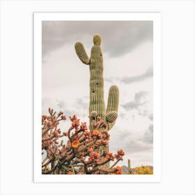 Orange Cactus Flowers Art Print