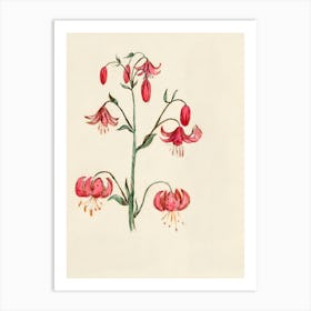 Lily Of The Valley 26 Art Print