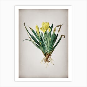 Vintage Crimean Iris Botanical on Parchment n.0807 Art Print