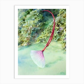 Red Sea Whip Storybook Watercolour Art Print