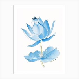 Blue Lotus Pencil Illustration 1 Art Print