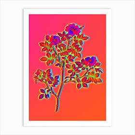 Neon Rose Corymb Botanical in Hot Pink and Electric Blue n.0190 Art Print