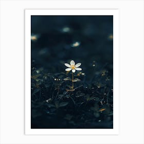 Flower In The Dark 93 Art Print