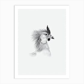 Chicken B&W Pencil Drawing 1 Bird Art Print