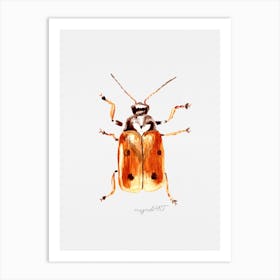 Cryptocephalus cordiger, a leaf beetle, watercolor artwork Art Print