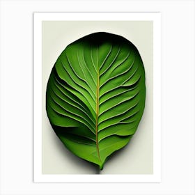 Avocado Leaf Vibrant Inspired Art Print