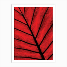 Red Leaf Art Print