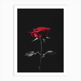 Dark Rose 146 Art Print