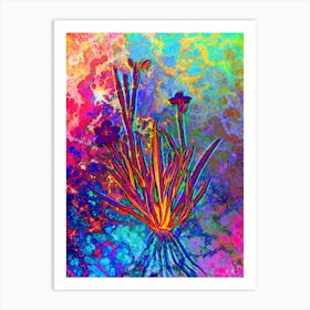 Yellow Eyed Grass Botanical in Acid Neon Pink Green and Blue n.0309 Art Print
