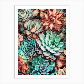 Succulents 1 nature flora Art Print