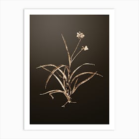 Gold Botanical Spiderwort on Chocolate Brown n.1811 Art Print