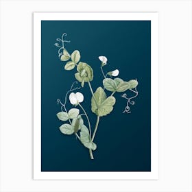 Vintage White Pea Flower Botanical Art on Teal Blue n.0136 Art Print