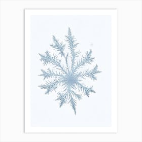 Fernlike Stellar Dendrites, Snowflakes, Pencil Illustration 2 Art Print