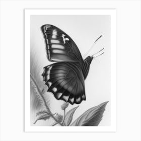 Black Swallowtail Butterfly Greyscale Sketch 2 Art Print