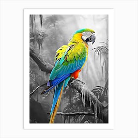 Parrot In The Jungle Art Print