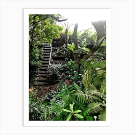 Stairway To The Jungle Art Print