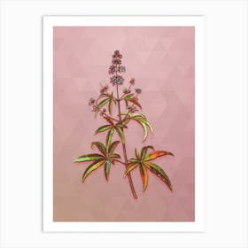 Vintage Chaste Tree Botanical Art on Crystal Rose n.0068 Art Print