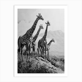 Herd Of Giraffe Pencil Portrait 1 Art Print