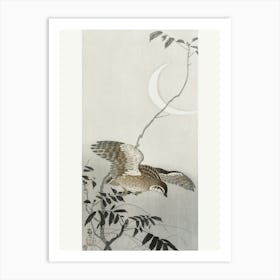 Quail At Moon Sickle (1900 1910), Ohara Koson Art Print