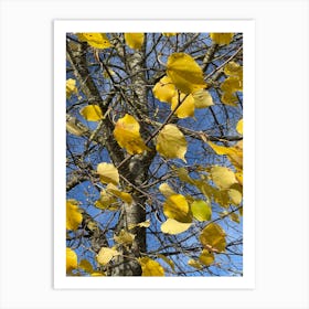 Autumn Leaves 6 Art Print