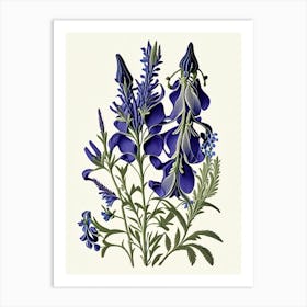 Wild Indigo Wildflower Vintage Botanical Art Print