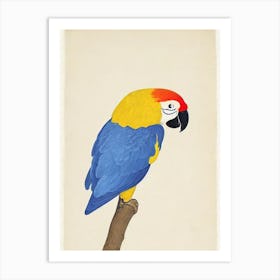 Parrot Illustration Bird Art Print