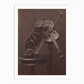 Vintage Cat On A Stool Playing Violin Art Print