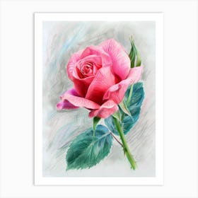 Pink Rose 1 Art Print