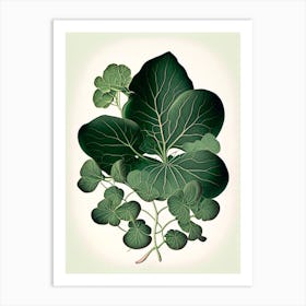 Purslane Leaf Vintage Botanical 1 Art Print