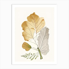 Ginkgo Spices And Herbs Pencil Illustration 1 Art Print