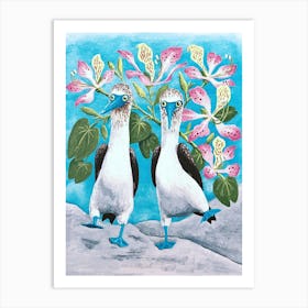 Blue-footed Boobies: Galapagos Seabirds Art Print