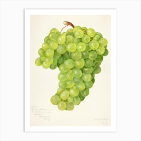 Grapes 1 Art Print