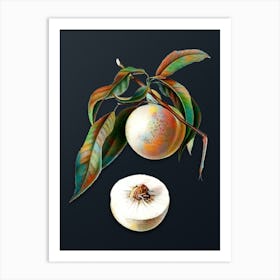 Vintage Peach Botanical Watercolor Illustration on Dark Teal Blue n.0355 Art Print