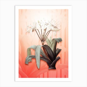 Crinum Erubescens Vintage Botanical in Peach Fuzz Awning Stripes Pattern n.0074 Art Print