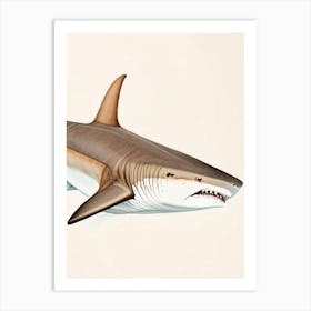 Sand Tiger Shark Vintage Art Print