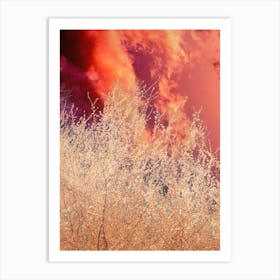 Firey Art Print