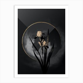 Shadowy Vintage Tall Bearded Iris Botanical on Black with Gold n.0059 Art Print
