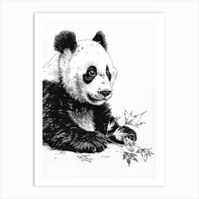 Giant Panda Cub Playing With A Fallen Leaf Ink Illustration 3 Art Print