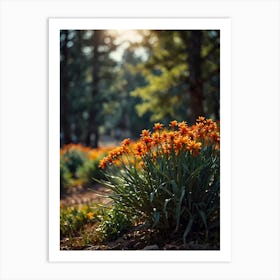 Orange Flowers In The Park Art Print