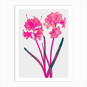 Hot Pink Hyacinth 1 Art Print