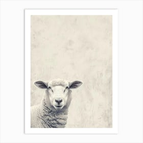 Sheep On A Wall Art Print