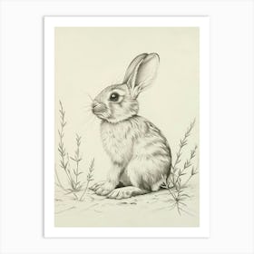 Mini Satin Rabbit Drawing 4 Art Print