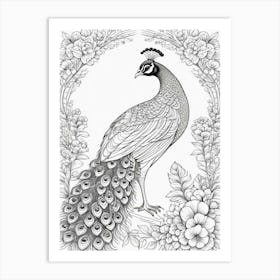 Peacock Coloring Page Kids Bird Animal Nature Black White Art Print
