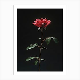 Single Red Rose 15 Art Print