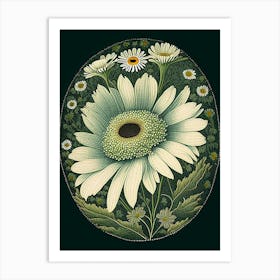 Daisy 3 Floral Botanical Vintage Poster Flower Art Print