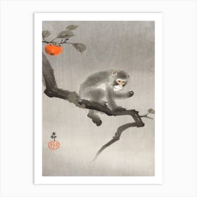 Monkey In Cockatoo (1900 1930), Ohara Koson Art Print